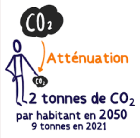 Image 3 det Shifters